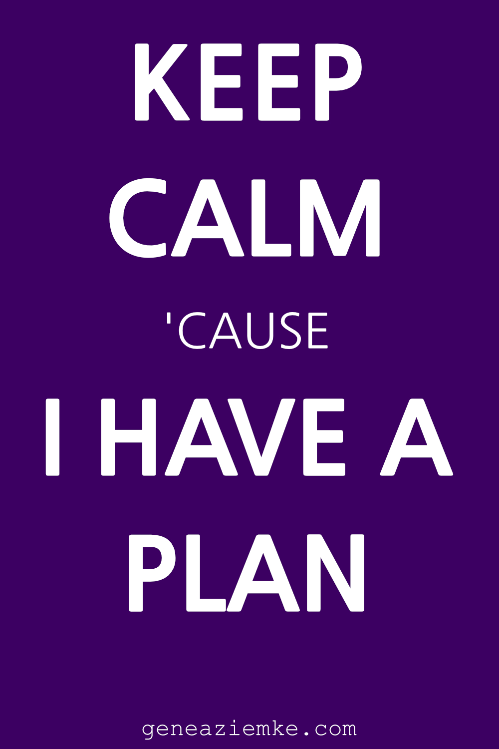 Keep Calm cause I Have A Plan